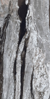 Керамическая плитка  EMPEROR LAPP RETT	160x320