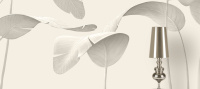 JVS.10