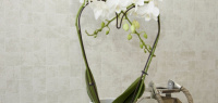 Обои Architector Carrara (CP00711)