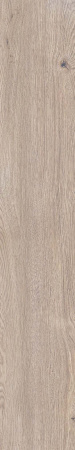 Керамогранит 4 SEASONS  BISCUIT       NAT R20X120