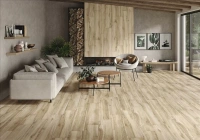 BLAZE NATURAL MT 23X120