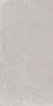 Керамогранит GENT ASH RET.  	60X120