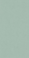 Керамическая плитка WIDE&STYLE MINI MINT RET 60х120
