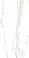 Керамогранит I CLASSICI CAL.GOLD 6MM GLOSSY  120X240