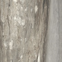 Керамогранит ETOILE TROPICAL MAT 60x60 RET