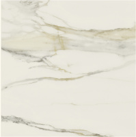 Керамогранит I CLASSICI CAL.GOLD GLOSSY 60X60 RET