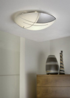 Настенно-потолочный светильник RAYA 89758