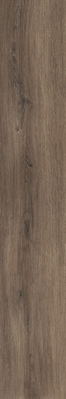 Керамогранит ECO CHIC BROWN RET 20x120