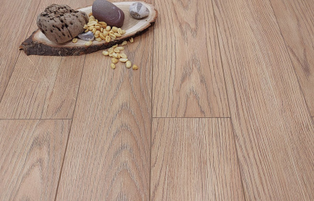 Дуб Альберта