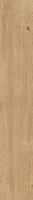 Керамогранит 4 SEASONS  BISCUIT       NAT R20X120
