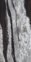 Керамическая плитка  EMPEROR LAPP RETT	160x320