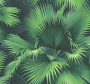 Обои KT-Exclusive Palm Springs PS40104