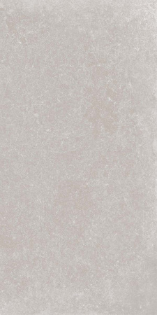 Керамогранит GENT ASH RET.  	60X120