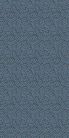 Керамическая плитка  W&S D STICKS BLUE  120x240